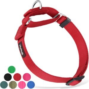 Hyhug Strong Nylon Non - Escape Martingale Dog Collar for Large Breeds Boy and Girl Dogs - Walking Training Daily Use. (Large, Red)