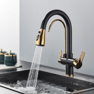 Black 3 Way Kitchen Mixer Tap Pull Out Spray Dual Handle Pure Water Filter Taps